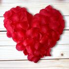 2700 Pétalas Artificiais Para Decoração Romântica Ou Rústica