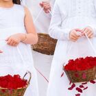 2700 Pétalas Artificiais Para Decoração Romântica Ou Rústica