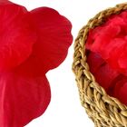 2700 Pétalas Artificiais Para Decoração Romântica Ou Rústica