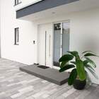 2 Árvores De Heliconia Artificial Verde - Arbusto Permanente