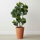 2 Árvores Permanentes Fícus Alta Qualidade E Realismo 72 Folh