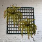 2 Buquês De Samambaia Artificial Com Toque Real Para Decoraçã