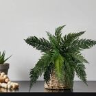 2 Buquês De Samambaia Artificial Revestido Em Silicone Para C