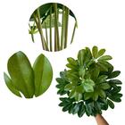 2 Folhagens Artificiais De Mini Cheflera Verde Para Composiçã