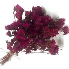 2 Mini Buquês De Statice Bordô I Flores Desidratadas