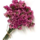 2 Mini Buquês De Statice Rosa I Flores Desidratadas