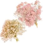 2 Mini Buquês Gypso Mosquitinho Rosa E Branco Desidratada