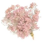 2 Mini Buquês Gypso Mosquitinho Rosa E Branco Desidratada