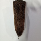 2 Mudas De Grumixama - Eugenia Brasiliensis