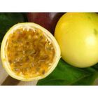 2 Mudas De Maracujá Fb300 Araguari - Viveiro Certificado