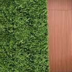 2 Painéis Artificiais Para Jardim Permanente De Uso Interno C