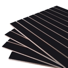 2 Paineis Canaletado Preto - 0,91 X 0,91 + 50 Gancho 25cm + C