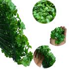 2 Painéis De Folhagem Artificial Trevo Realista 60x40 Linha P