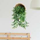 2 Plantas Artificiais De Chifre De Veado: Decoração Durável P