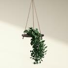 2 Plantas Artificial Pendente Premium Com (5 Galhos Cada) Aca