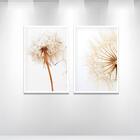 2 Quadros Decorativos Dente De Leão 01 60x90x2,8 Luven Bra