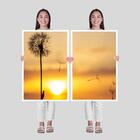 2 Quadros Decorativos Dente De Leão 04 60x90x2,8 Luven Bra