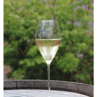2 Taças Riedel Performance Champagne Espumante Cristal 375ml