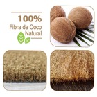 2 Tapete Capacho Fibra Coco Antiderrapante 33x60 Meia Lua E1