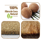 2 Tapete Porta Capacho Fibra Coco Antiderrapante 33x60 E12