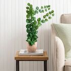 2 Trepadeiras Pendentes 100x20cm De Folhagem Jiboia Artificia