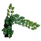 2 Trepadeiras Pendentes 100x20cm De Folhagem Jiboia Artificia