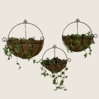 2 Vasos De Parede De Fibra De Coco 35cm De Plantas Meio Vaso