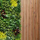 3,5m² De Painéis Para Jardim Vertical Luxuosos Com Efeito 3d