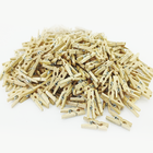 300 Mini Pregadores De Madeira Natural