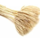 30 Haste De Trigo Decoração Casamento Decoração Arranjo Lar B