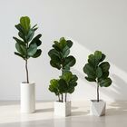 3 Árvores Realistas 120cm Artificiais Planta Grande Ficus Lyr