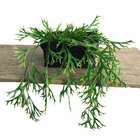 3 Buquês Artificiais De Chifre De Veado Pendente Realista Alt