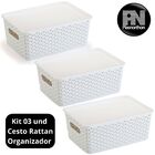 3 Caixas Organizadoras Com Tampa Grande 15 Lts Rattan Branco