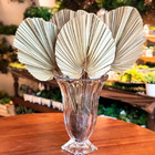 3 Folhas De Latania Natural Desidratada Formosinha Decoração