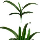 3 Folhas De Orquídea Artificiais Próprio Para Composição De A