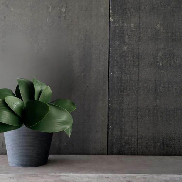 3 Folhas De Orquídea Artificial Phalaenopsis 26x35cm Verde Co