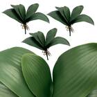 3 Folhas De Orquídea Artificial Phalaenopsis 26x35cm Verde Co