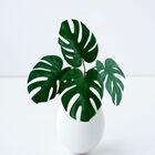 3 Hastes Costela De Adão Artificial Para Decoração De Vasos E