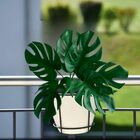 3 Hastes Costela De Adão Artificial Para Decoração De Vasos E