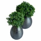 3 Maços De Suculentas Artificiais Mini (6 Hastes Cada) Para D