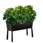 3 Mini Arbustos Artificiais Cheflera Com Ramos Flexíveis E Co