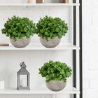 3 Pacotes De Mini Eucalipto Artificial - 6 Hastes Por Mini Bu