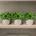 3 Pacotes De Mini Eucalipto Artificial - 6 Hastes Por Mini Bu