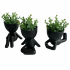 3 Picks De Eucalipto Artificial Mini Plantas Decorativas Para