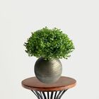 3 Picks De Eucalipto Artificial Mini Plantas Decorativas Para