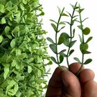 3 Picks De Eucalipto Artificial Mini Plantas Decorativas Para