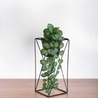 3 Plantas Artificiais Pendente Begônia (100x20) Beleza Natura