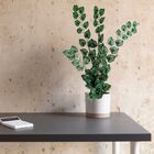 3 Plantas Artificiais Pendente De Melancia (100x20) Beleza Na