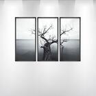 3 Quadros Decor Arvores De Inverno Ii 43x90x2,8 Luven Pre