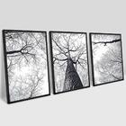 3 Quadros Decorativos Árvores De Inverno 60x90x2,8 Luven Pre